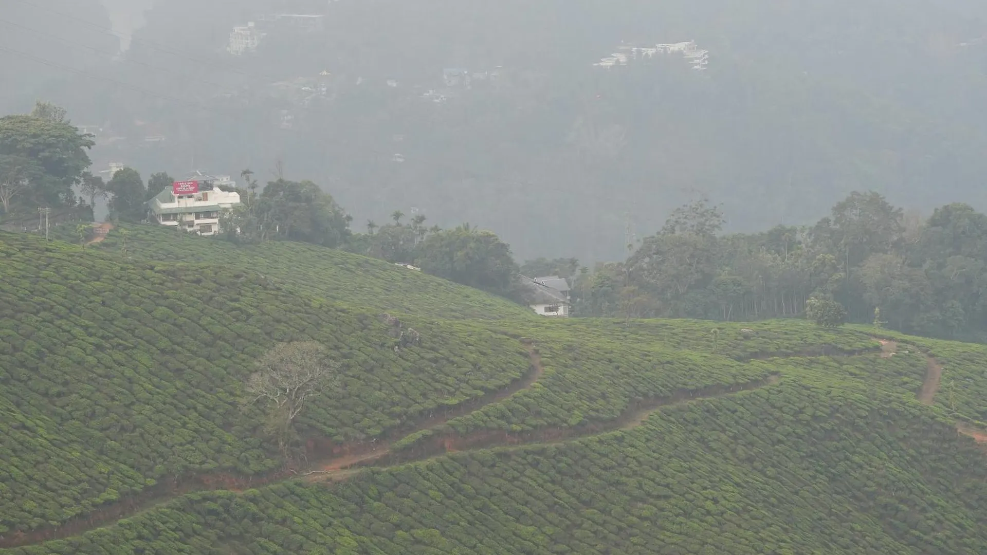 Bed and breakfast Misty Bush Munnar Couette-café