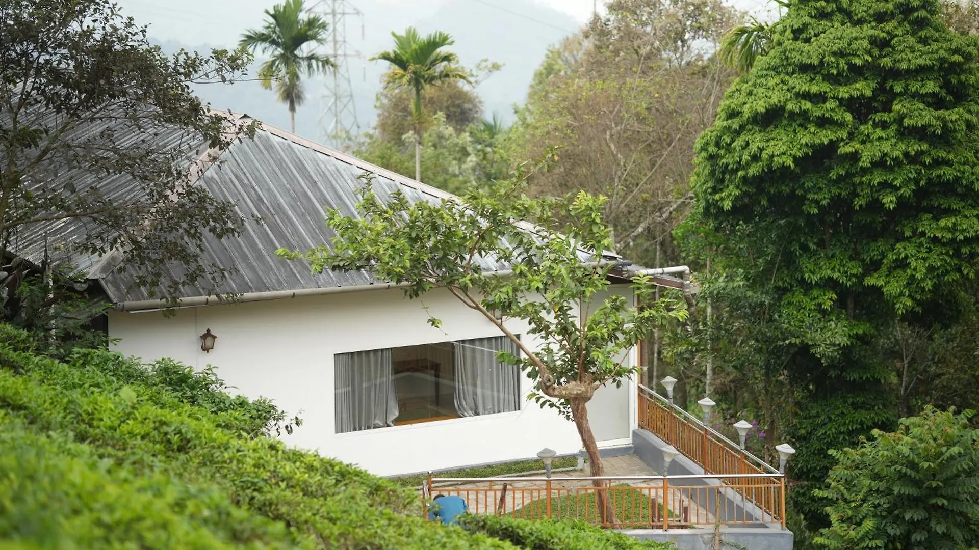 Bed and breakfast Misty Bush Munnar Couette-café